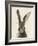 European Hare II-Ethan Harper-Framed Art Print