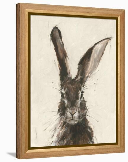 European Hare II-Ethan Harper-Framed Stretched Canvas