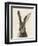 European Hare II-Ethan Harper-Framed Premium Giclee Print