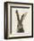 European Hare II-Ethan Harper-Framed Premium Giclee Print