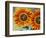 European Honey Bees Pollinating Red Sunflowers, Rhineland-Palatinate, Germany-Tom Haseltine-Framed Photographic Print