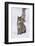 European Lynx (Lynx Lynx), Polar Park, Norway, Troms, Norway, Scandinavia-Sergio Pitamitz-Framed Photographic Print