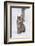 European Lynx (Lynx Lynx), Polar Park, Norway, Troms, Norway, Scandinavia-Sergio Pitamitz-Framed Photographic Print