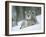 European Lynx Male Grooming in Snow, Norway-Pete Cairns-Framed Photographic Print