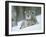 European Lynx Male Grooming in Snow, Norway-Pete Cairns-Framed Photographic Print