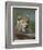 European Lynx, Ranua Wildlife Park, Finland, Scandinavia, Europe-Murray Louise-Framed Photographic Print