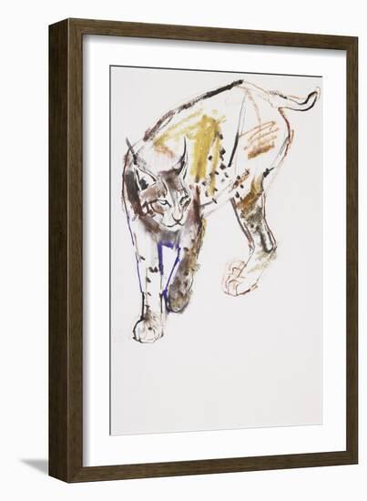 European Lynx-Mark Adlington-Framed Giclee Print