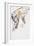 European Lynx-Mark Adlington-Framed Giclee Print