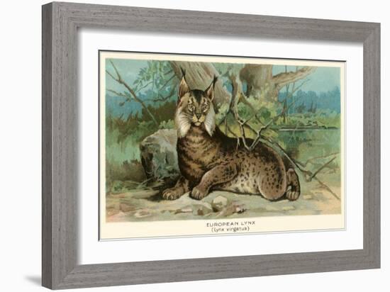 European Lynx-null-Framed Art Print