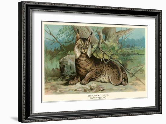 European Lynx-null-Framed Art Print