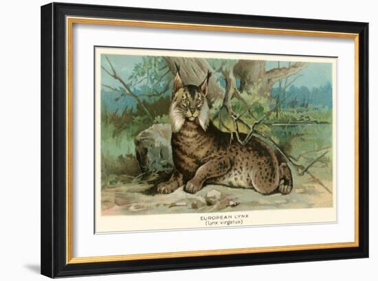 European Lynx-null-Framed Art Print