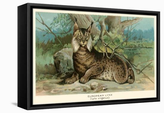 European Lynx-null-Framed Stretched Canvas