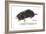 European Mole (Talpa Europaea), Mammals-Encyclopaedia Britannica-Framed Art Print