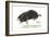 European Mole (Talpa Europaea), Mammals-Encyclopaedia Britannica-Framed Art Print