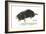 European Mole (Talpa Europaea), Mammals-Encyclopaedia Britannica-Framed Art Print