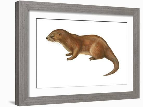 European Otter (Lutra Lutra), Mammals-Encyclopaedia Britannica-Framed Art Print