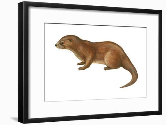 European Otter (Lutra Lutra), Mammals-Encyclopaedia Britannica-Framed Art Print