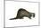 European Polecat (Mustela Putorius), Weasel, Mammals-Encyclopaedia Britannica-Mounted Art Print