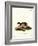 European Polecat-null-Framed Giclee Print