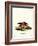 European Polecat-null-Framed Giclee Print