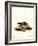 European Polecat-null-Framed Giclee Print