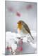 Photographic Print