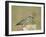 European Roller with a Worm, Serengeti National Park, Tanzania, East Africa-James Hager-Framed Photographic Print