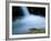 European Salamander on Rock in Stream, Pyrenees, Navarra Region, Spain-Inaki Relanzon-Framed Photographic Print