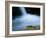 European Salamander on Rock in Stream, Pyrenees, Navarra Region, Spain-Inaki Relanzon-Framed Photographic Print