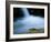 European Salamander on Rock in Stream, Pyrenees, Navarra Region, Spain-Inaki Relanzon-Framed Photographic Print