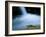 European Salamander on Rock in Stream, Pyrenees, Navarra Region, Spain-Inaki Relanzon-Framed Photographic Print