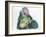 European Tree Frog Hyla Arborea, Male with Vocal Sac Inflated During Breeding Season-null-Framed Giclee Print