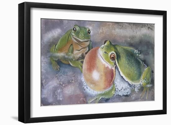 European Tree Frog (Hyla Arborea)-null-Framed Giclee Print