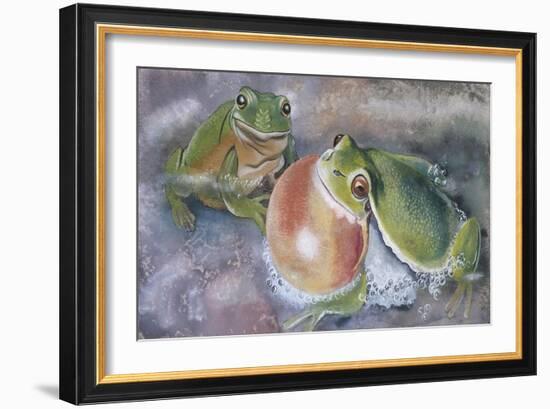 European Tree Frog (Hyla Arborea)-null-Framed Giclee Print