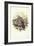 European Turtle-Dove (Streptopelia Turtur)-John Gould-Framed Giclee Print