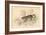 European Wild Cat (Felis Silvestri), 1828-null-Framed Giclee Print