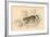 European Wild Cat (Felis Silvestri), 1828-null-Framed Giclee Print