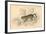 European Wild Cat (Felis Silvestri), 1828-null-Framed Giclee Print