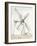 European Windmill II-Ethan Harper-Framed Art Print