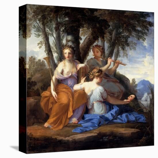 Stretched Canvas Print, , large