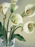 Vaso con tulipani bianchi-Eva Barberini-Art Print