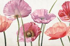 Bouquet di anemoni-Eva Barberini-Art Print