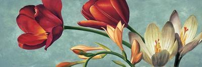 Bouquet di tulipani-Eva Barberini-Framed Art Print