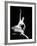 Eva Evdokimova (1948-2009) Danseuse Americano-Bulgare-null-Framed Photo