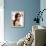 Eva Mendes-null-Framed Stretched Canvas displayed on a wall