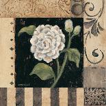White Calla Lilies-Eva Misa-Framed Art Print