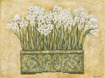 White Narcissus-Eva Misa-Art Print