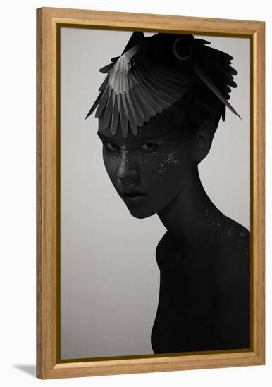 Eva-Ruben Ireland-Framed Stretched Canvas