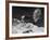 Evacuated London Child Having Tea Outdoors in the Country Where He is Living Temporarily-William Vandivert-Framed Photographic Print