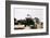 Evacuees Boarding a Helicopter-null-Framed Photographic Print